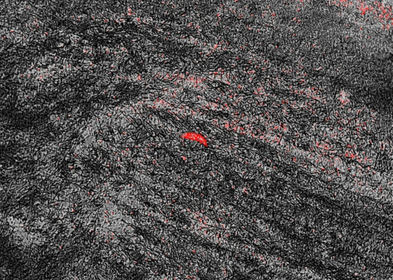 Red crescent on textured dark background.