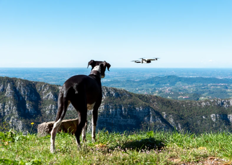 Dog watching drone over scenic mountain view.