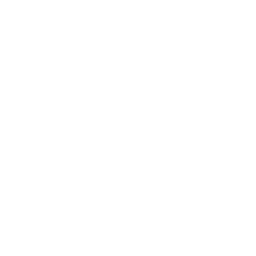 Logo with deer skull and drone design.