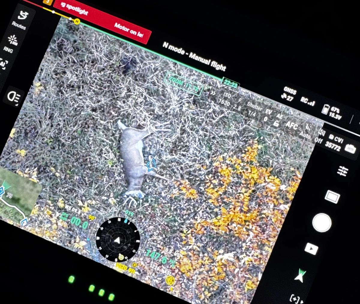 Drone screen showing animal in grassy area.